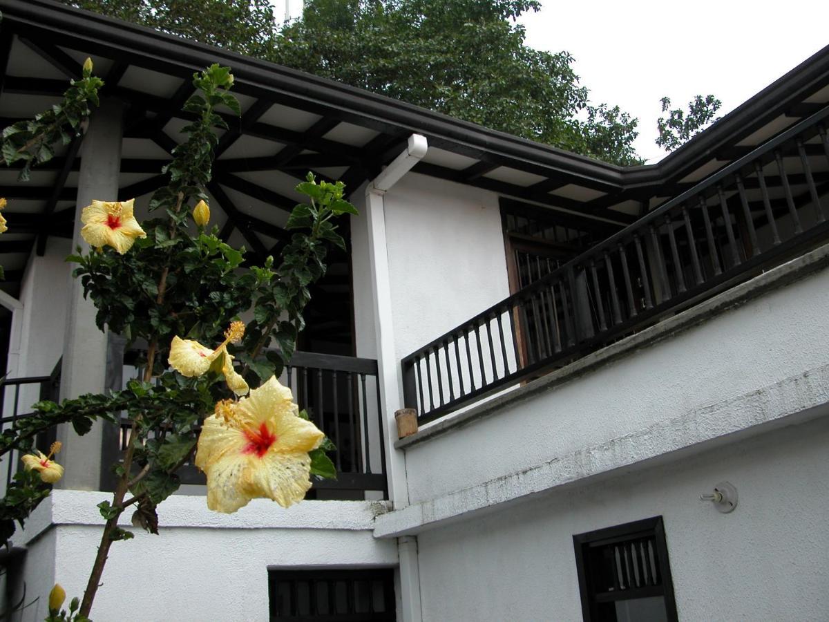 Casa De La Ciencia Villa Salento Exterior photo
